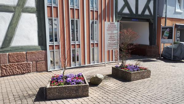 Brgerschaftliches Engagement zur Verschnerung des Stadtbildes am Beispiel der Pflanzkbel in der Brieelstrae