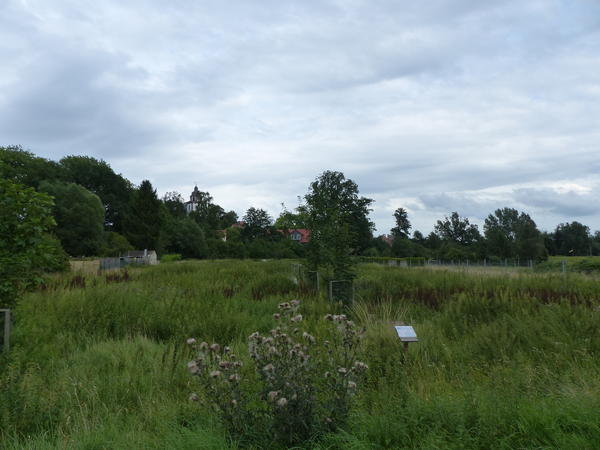 Gemeinschaftsgarten