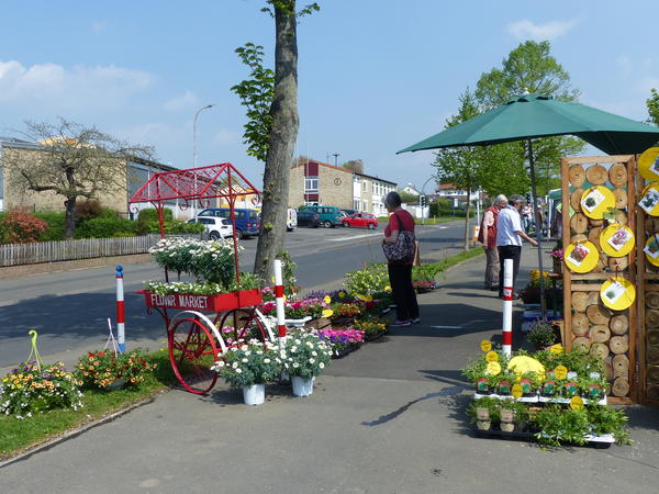 Aktionstag "Kirchhain bl&uuml;ht" am 21.04.2018