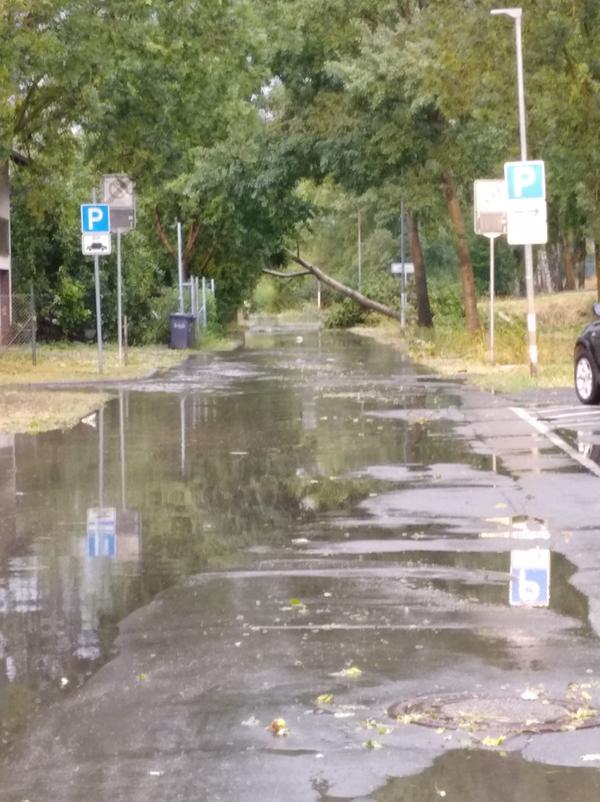 Foto Unwetter Kirchhain