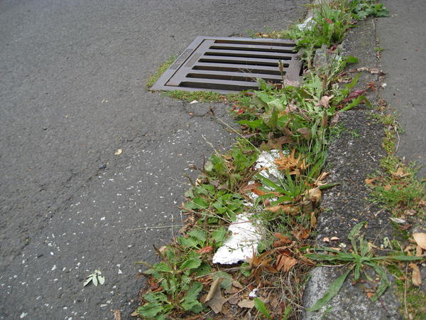 16_Stra&szlig;enreinigung speziell Regenrinne Bild 1