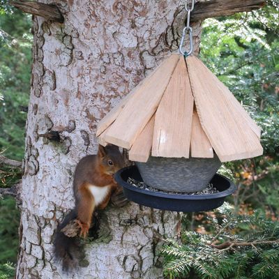 12_Kirchhain bl�ht Vogelf�tterung Teil 2 Foto 1