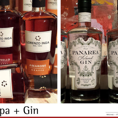 VinarteAlba 5