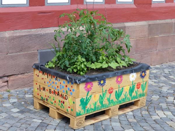 14_Essbare Stadt - Umsetzung
