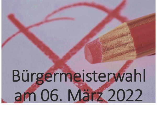 2_Bgm Wahl Logo