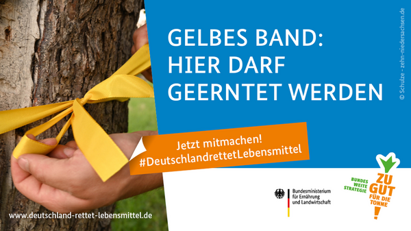 4_Gelbes Band