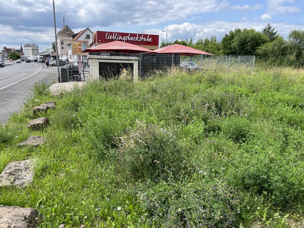 Kirchhain bl&uuml;ht: Schr&ouml;pfschnitt