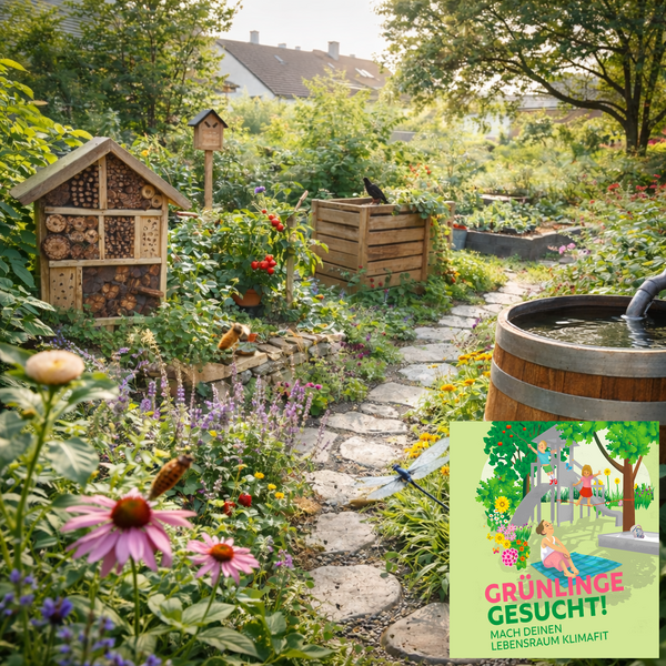 Klima_Gartenwettbewerb