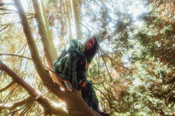 Robin Hood, HLTM