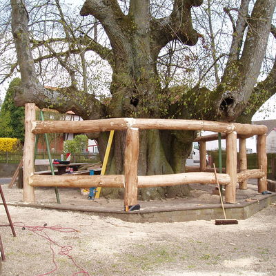 Wahrzeichen des Stadtteils Himmelsberg, die ca. 1.000-j&auml;hrige Linde, mit neuem St&uuml;tzgestell